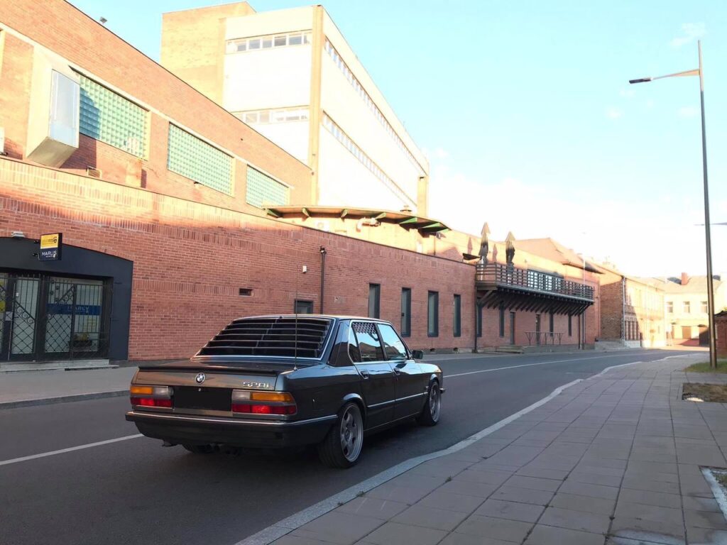 Жалюзі заднього скла BMW E28 ABS пластик