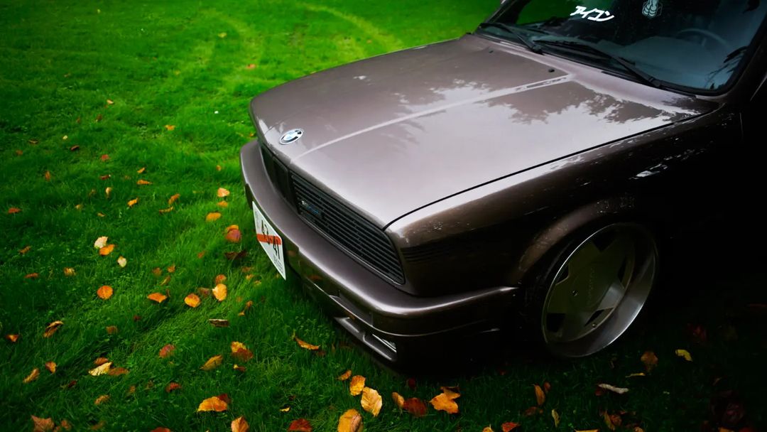 Steady Grille для Е30. Тільки решітки
