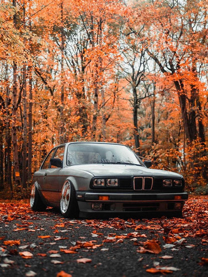 Taifun kit for e30